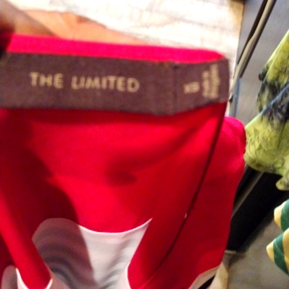 The Limited Mini Dress XS - Picture 5 of 6